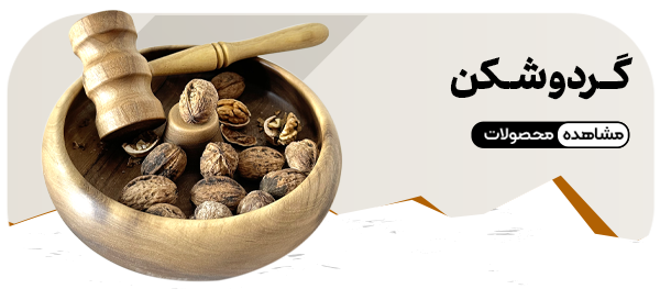 گردو شکن